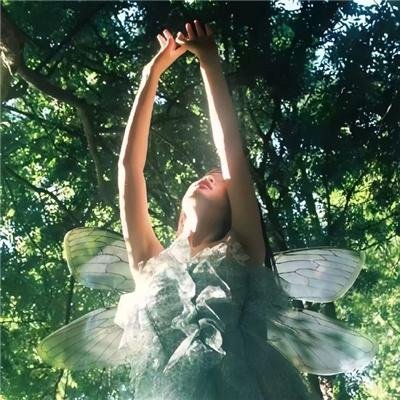 爸爸的便当世界第一